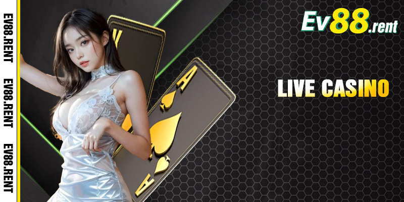 Casino live đẳng cấp 5 sao
